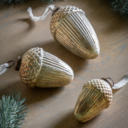 acorn decs set of 6