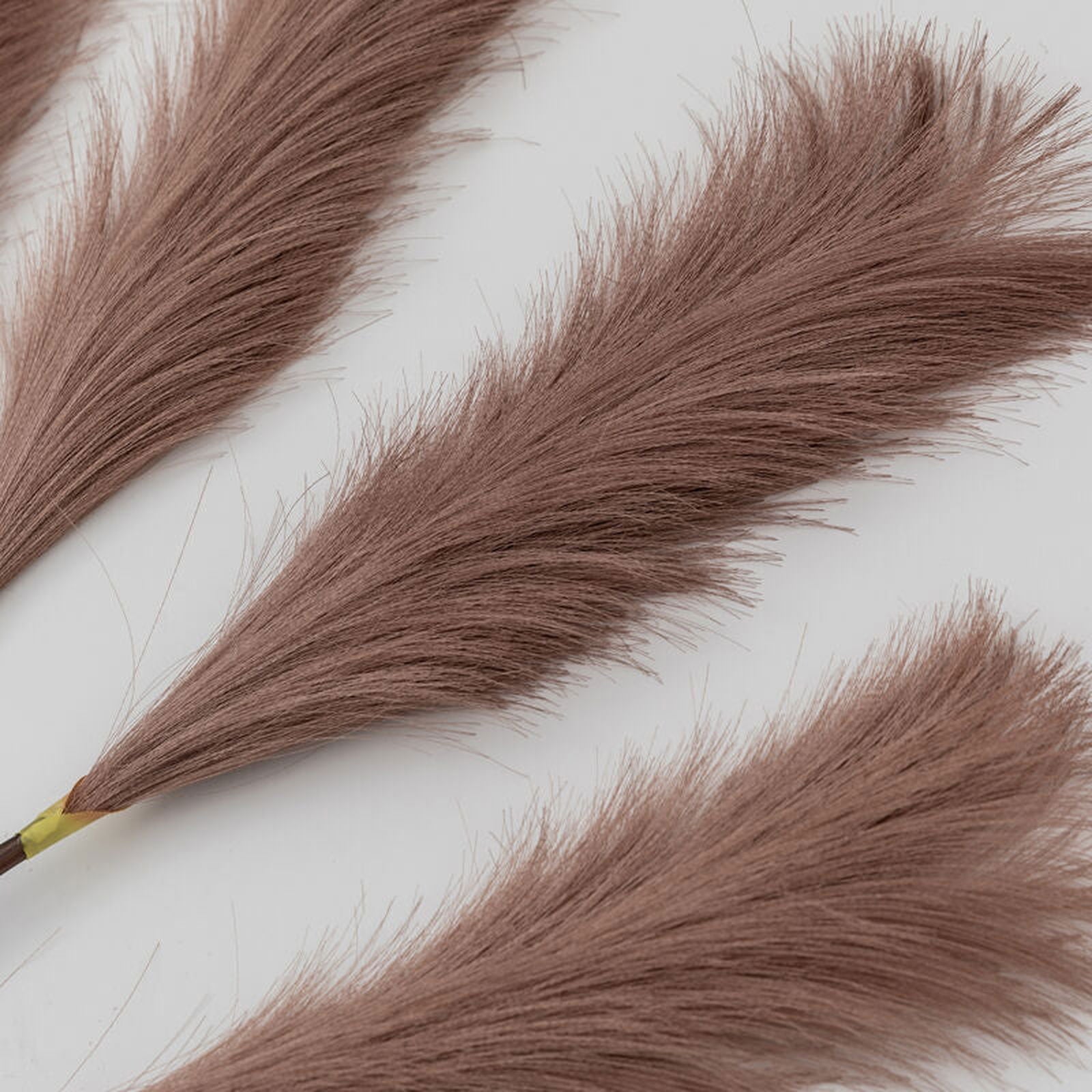 goma soft feather stem in dark blush 6 pk - nineteen/seventy